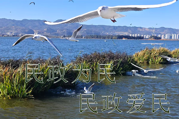 民政为民,民政爱民|把殡葬费用降下来 民政为民,民政爱民|把殡葬费用降下来