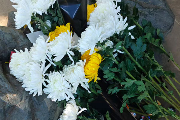 天津公墓行业贯彻落实新的《殡葬管理条例》 天津公墓行业贯彻落实新的《殡葬管理条例》