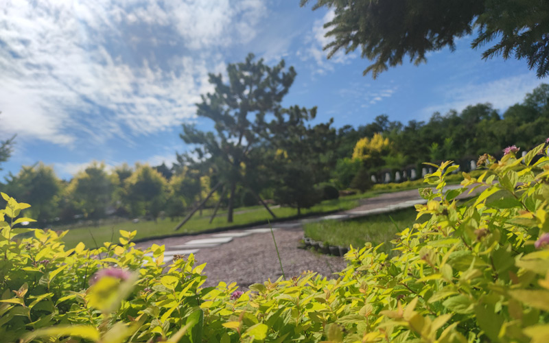 1740648526260300.jpg 沈阳陵园公墓大全分布区域的好墓园有哪些.jpg