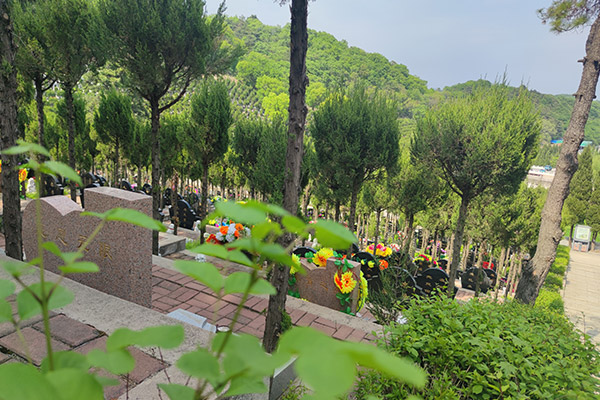 1773307102398979.jpg 大河贝墓园.jpg