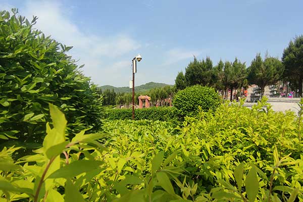 大河贝墓园价格