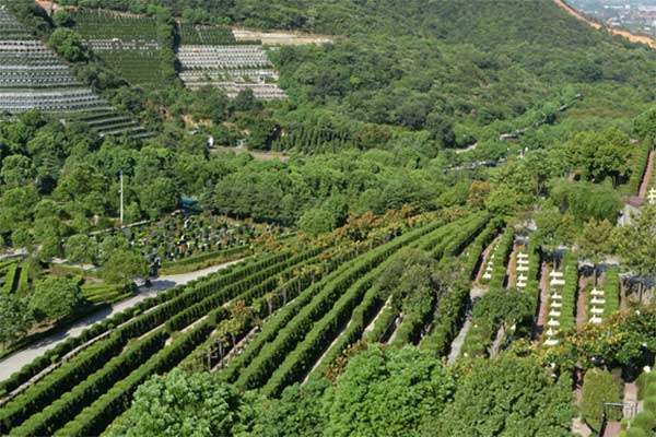 安贤陵园 安贤陵园