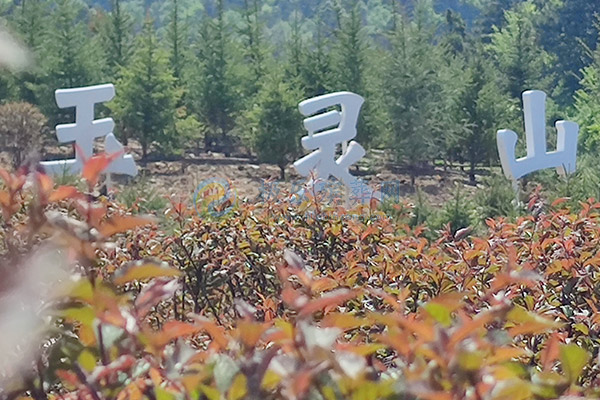 沈阳草坪葬推荐：4880元起，选择玉灵山生态墓园，回归自然与孝道的完美结合.jpg