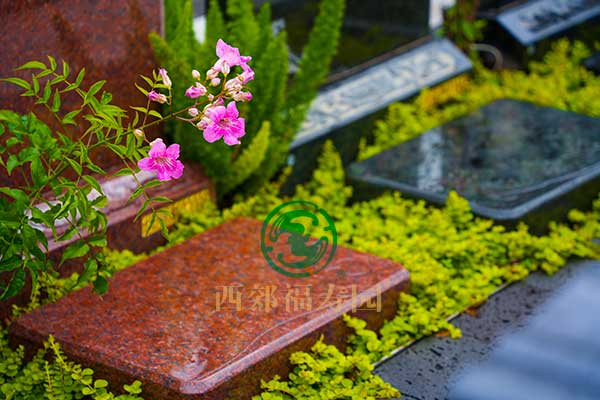 重庆墓园.jpg